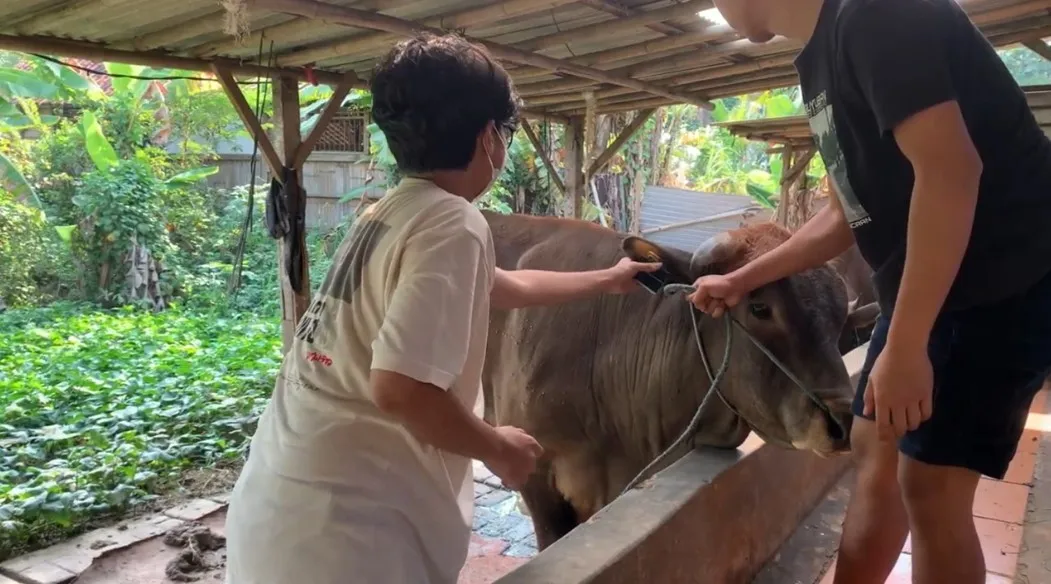 TernakAja Prototype in Farm